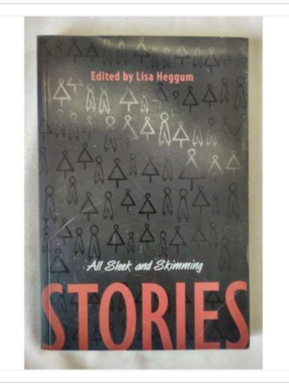 All Sleek and Skimming Stories Young Adult Literature Anthology 1st 2006 PB